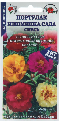 Портулак Изюминка Сада (Золотая сотка Алтая)