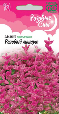 Сальвия Розовый монарх (Гавриш)