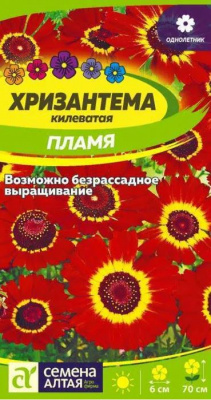 Хризантема Пламя килеватая (Семена Алтая)