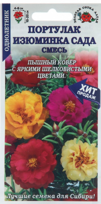 Портулак Изюминка Сада (Золотая сотка Алтая)