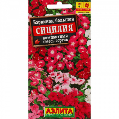 Барвинок Сицилия (Аэлита)