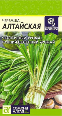 Черемша алтайская (Семена Алтая)