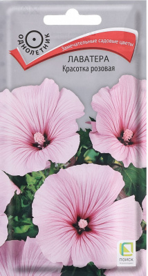 Лаватера Красотка розовая (Поиск)