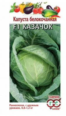 Капуста белокочанная КАЗАЧОК (Семена Алтая)