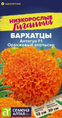 Бархатцы Антигуа F1 Оранжевый апельсин (Семена Алтая)